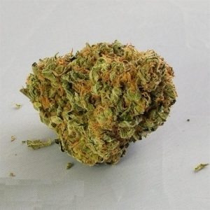 Asteroid OG