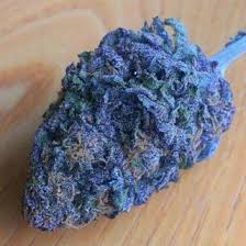 Blue Dream