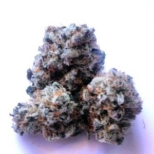 Blackberry Kush